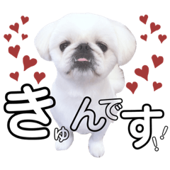 [LINEスタンプ] とろろさんパート2