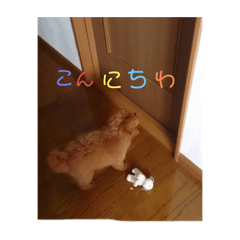 [LINEスタンプ] だっくんの挨拶