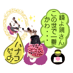 [LINEスタンプ] 愛犬♡ハナコのスタンプ8「あるある」編