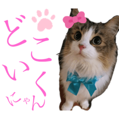[LINEスタンプ] 遊びの達人