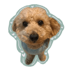 [LINEスタンプ] ちゃーぼースタンプ