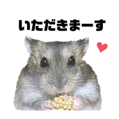 [LINEスタンプ] hamstamp.