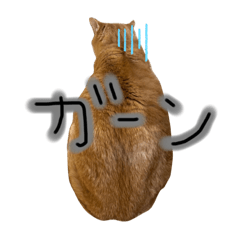 [LINEスタンプ] 茶トラのキング