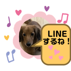 [LINEスタンプ] 東 奈蝶のワンコスタンプ5