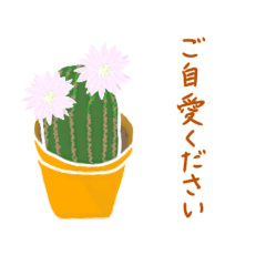 [LINEスタンプ] 思いやり、気持ちを伝える言葉とお花。