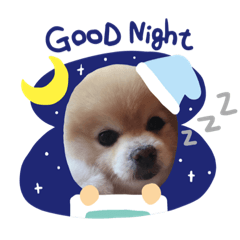 [LINEスタンプ] かわいいポメラニアンのラブ