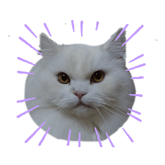[LINEスタンプ] おとぽての日常