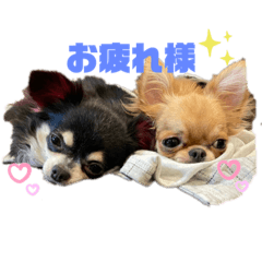[LINEスタンプ] バブピースタンプVol.2