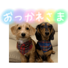 [LINEスタンプ] 茶ベニ時々あーちゃん2