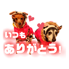 [LINEスタンプ] くうそら Part2