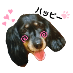 [LINEスタンプ] ルイるあ with ハッピー