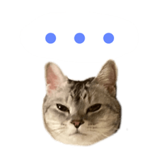 [LINEスタンプ] チワワとねこのスタンプ