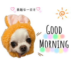 [LINEスタンプ] ☆ダイ君☆スタンプ