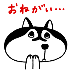 [LINEスタンプ] お願い犬 ハシュ丸