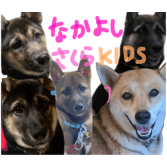[LINEスタンプ] さくらKIDS♡