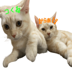 [LINEスタンプ] からあげくんとつくねくん3
