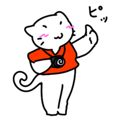 [LINEスタンプ] カメラをもったネコ。