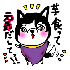 [LINEスタンプ] 焼き芋犬