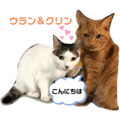 [LINEスタンプ] 幸せな仲間達