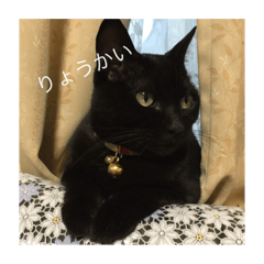 [LINEスタンプ] ききとストーブ