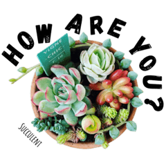 [LINEスタンプ] myガーデニングスタンプ-多肉植物-