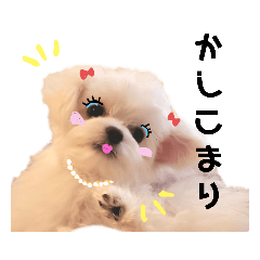 [LINEスタンプ] とらきち②