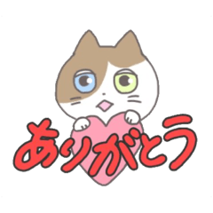 [LINEスタンプ] 愛猫ぽんちゃんの日常スタンプ