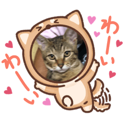 [LINEスタンプ] さくま5
