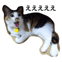 [LINEスタンプ] キャラメルpart3