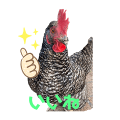 [LINEスタンプ] ジャッコちゃんとヘッコちゃん キモチ