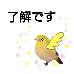 [LINEスタンプ] 毎日に優しさを♥️(小鳥のパステル画 2 )