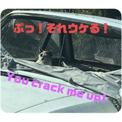 [LINEスタンプ] 自動車整備士 工具 自動車整備士あるあるの画像（メイン）