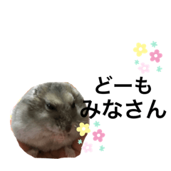 [LINEスタンプ] ちびハムちゃん8