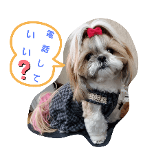 [LINEスタンプ] mocotam6moa 2021 vol.2