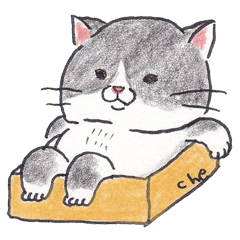 [LINEスタンプ] 手書きイラストのかわいい猫｜ねこのきもちの画像（メイン）