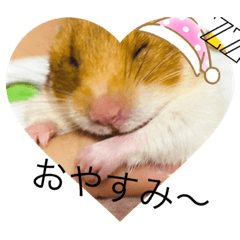 [LINEスタンプ] キャロstamp