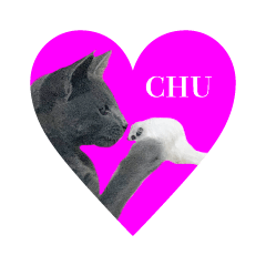 [LINEスタンプ] ねこのらら