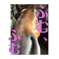 [LINEスタンプ] ドレッサーとその仲間たち☆その3