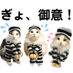 [LINEスタンプ] ノルウェージャンと愉快なにゃかま達