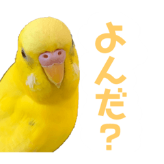 [LINEスタンプ] たまとなかまたち2