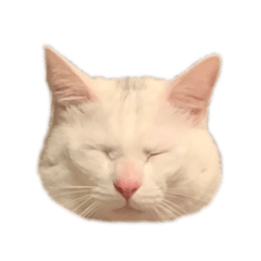 [LINEスタンプ] かぶち その2