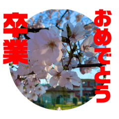 [LINEスタンプ] 卒業 入学 おめでとう！！