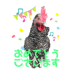 [LINEスタンプ] ジャッコちゃんとヘッコちゃん 感謝