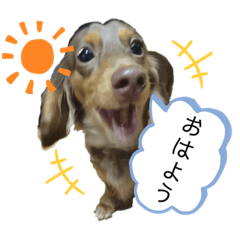 [LINEスタンプ] haru0528