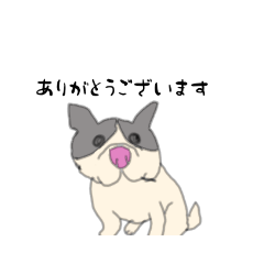 [LINEスタンプ] かわいすぎる犬たち