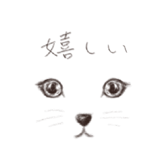 [LINEスタンプ] 顔で伝える 動物編