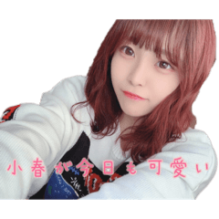 [LINEスタンプ] こはるてゃすたんぷ