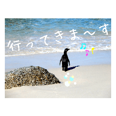 [LINEスタンプ] 南部アフリカの動物たち