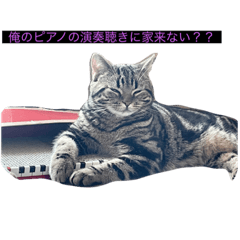 [LINEスタンプ] ねこ、チョコ