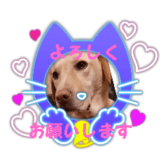 [LINEスタンプ] 黄色いお方